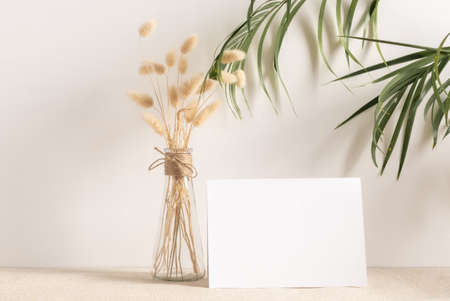 Blank white greeting card mock up.decoration with dried Lagurus ovatus flowers composition in modern glass vase  on  beige table and cement wall backgroundの写真素材