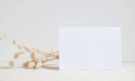 Blank white greeting card mock up.decoration with dried Lagurus ovatus flowers composition in modern glass vase  on  beige table and cement wall backgroundの写真素材