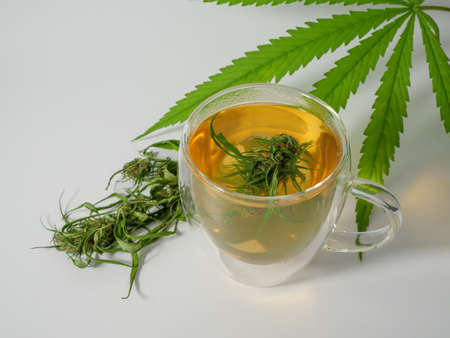 Cannabis herbal tea cup with  marijuana fresh green leaves and   bud in  glass cup on white background, CBD medical drinkの写真素材
