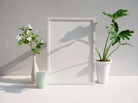 Mock up poster frame Philodendron selloum Gardenia flower  in modern white vase  and green candle  on white wood  table and cement wall background with long shadowの写真素材
