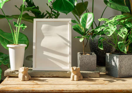 Mock up poster wooden frame  and tropical house plant in  potted set on wood table in modern living room stylish with loft cement  wallの写真素材