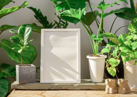 Mock up poster wooden frame  and Monstera,Philodendron selloum, Aroid palm,Zamioculcas zamifolia,Ficus Lyrata,snake plant tropical house plant in  potted set on wood table in modern living room stylish with loft cement  wallの写真素材