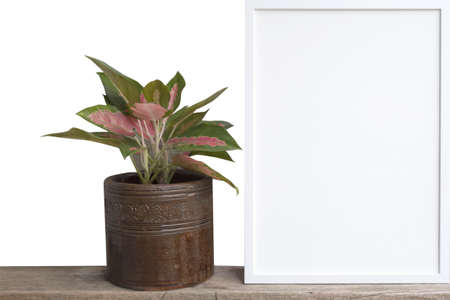 White picture frame and house plant flower on wooden shelf isolated on whiteの写真素材
