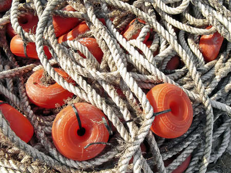 Ropes used by fishermen for the nets                                                               