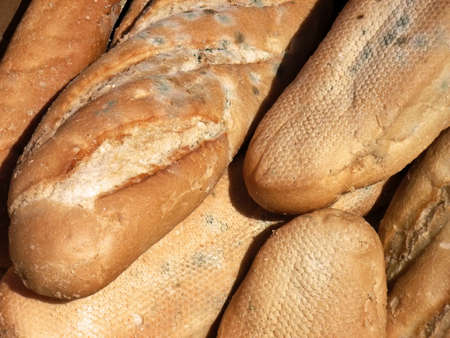 Rotten bread from yesterday                                                               の写真素材