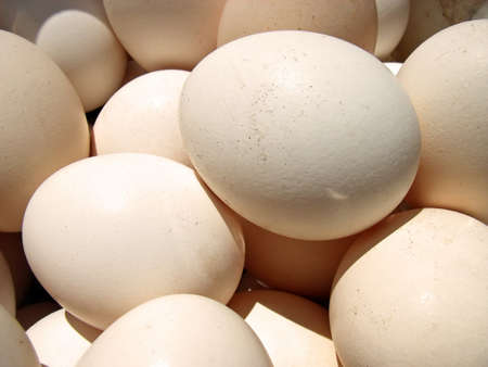 Several hen eggs in a basket                                                               