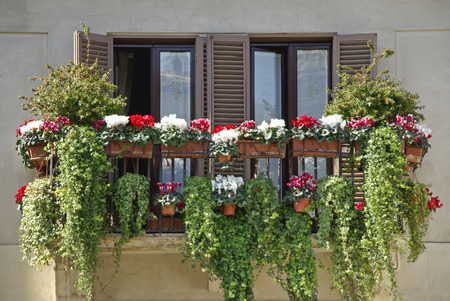 Typical italian window with flowers in a house of Rome (Italy)の写真素材