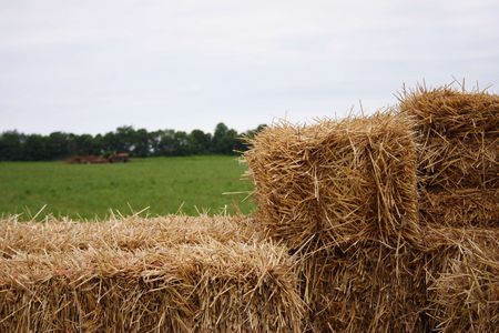 A wagon of straw in the foreground with a farmer working in the background