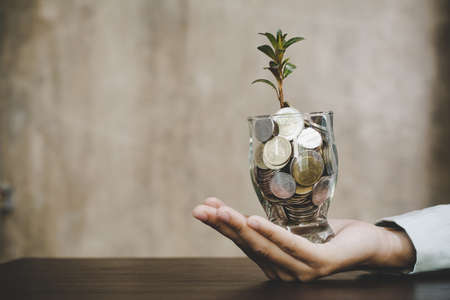 Plant growing from money (coins) in the glass jar held by a woman's hands - business and financial metaphor concept, web banner with copy spaceの写真素材