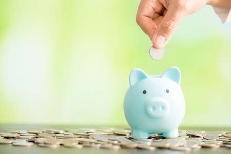 Hand putting coin in a piggy bank. Saving money concept to buy a house.の写真素材