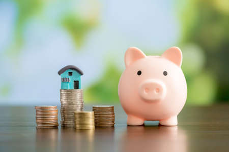 Mini house with piggy bank and coins money on natural green background, Business investment and real estate conceptの写真素材