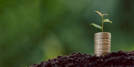 Money coin stack with seedling plant growing on green nature environment background. interest bank, business investment growth idea. grow loan, saving earning economic, finance and accounting conceptの写真素材