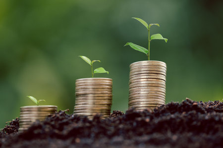 Money coin stack with seedling plant growing on green nature environment background. interest bank, business investment growth idea. grow loan, saving earning economic, finance and accounting conceptの写真素材