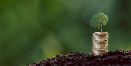 Money coin stack with seedling plant growing on green nature environment background. interest bank, business investment growth idea. grow loan, saving earning economic, finance and accounting conceptの写真素材