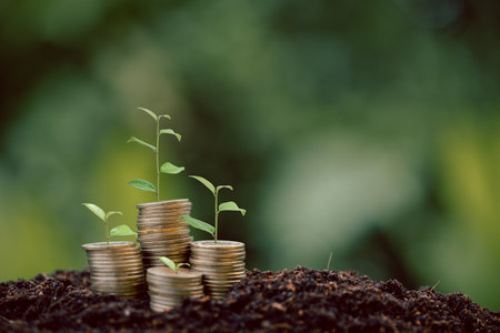 Money coin stack with seedling plant growing on green nature environment background. interest bank, business investment growth idea. grow loan, saving earning economic, finance and accounting conceptの写真素材