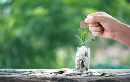 The green plant grow on coin stack is a business growth concept. The hand that is holding coin tree with some natural background is shown the business success in an investment of environmental ecologyの写真素材