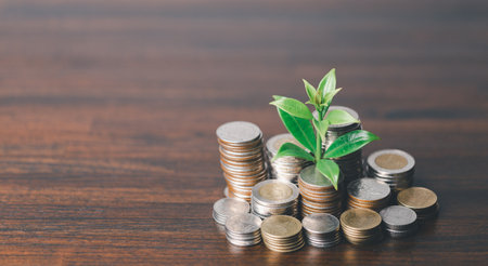 The money coin or money tree is a business growth. The business plant on coins growing with a hand pointing at money on the table. The green environment background business success in economic symbol.の写真素材