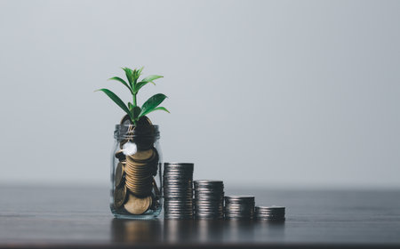 The money coin or money tree is a business growth. The business plant on coins growing with a hand...
