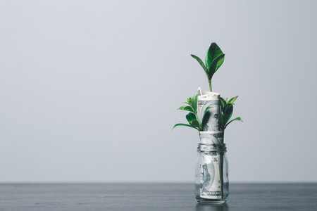 The money coin or money tree is a business growth. The business plant on coins growing with a hand pointing at money on the table. The green environment background business success in economic symbol.の写真素材