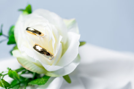 Golden wedding rings for engagement. Marriage golden rings with white, pink ribbons background....
