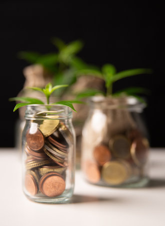 Investment in business and smart saving of money lead to growth, wealth, and profit, fostering financial development and success through strategic use of currency and coins. global, plan, protectionの写真素材