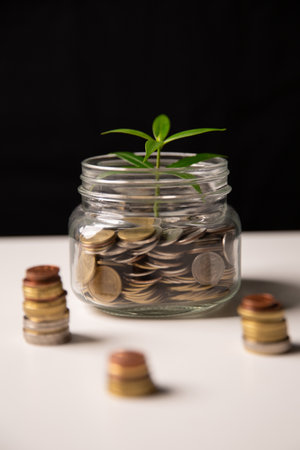 Investment in business and smart saving of money lead to growth, wealth, and profit, fostering financial development and success through strategic use of currency and coins. global, plan, protectionの写真素材