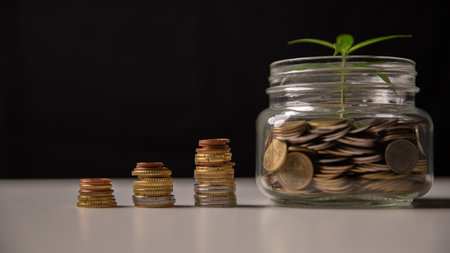Investment in business and smart saving of money lead to growth, wealth, and profit, fostering financial development and success through strategic use of currency and coins. global, plan, protectionの写真素材