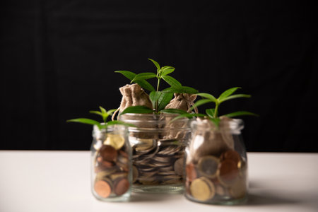 Investment in business and smart saving of money lead to growth, wealth, and profit, fostering financial development and success through strategic use of currency and coins. global, plan, protectionの写真素材