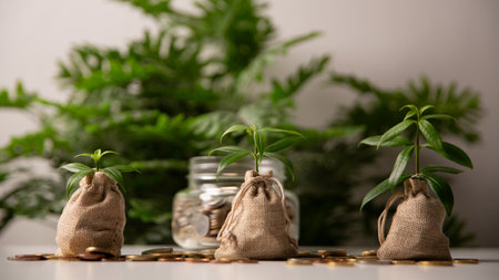 Goal of wealth growth is achieved through careful investment planning, banking strategies, and development of fund that utilizes currency to support financial growth and long-term success. insightの写真素材