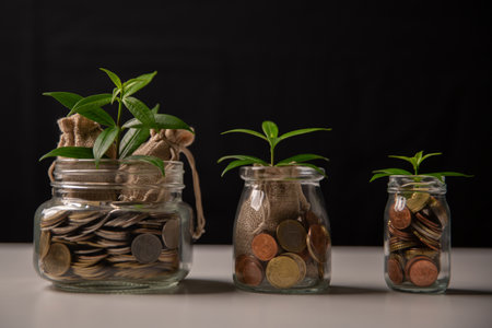 Investment in business and smart saving of money lead to growth, wealth, and profit, fostering financial development and success through strategic use of currency and coins. global, plan, protectionの写真素材