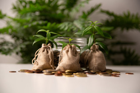 Goal of wealth growth is achieved through careful investment planning, banking strategies, and development of fund that utilizes currency to support financial growth and long-term success. insightの写真素材