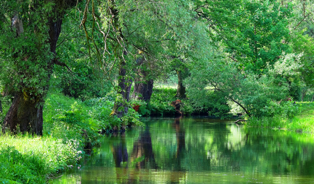 Poland, Starogard Gdanski, river in the city parkの写真素材