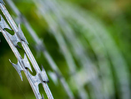 barb wireの写真素材