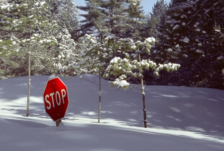 Deep snow in Northern Michigan buries a Stop Sign, making it superfluous 