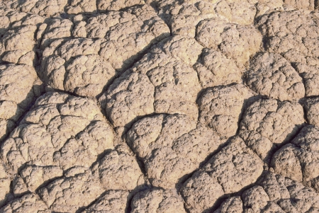 Textured dry clay forms an abstract earth pattern の写真素材