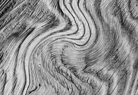 A twirled section of weathered wood forms an abstract, wavy pattern の写真素材