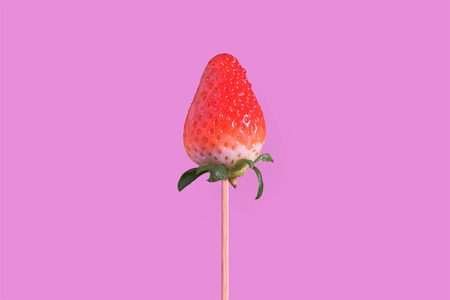 Isolated and centered with wooden stick strawberry pink Against a wallpaper. Empty copy space for Editor's text.の写真素材