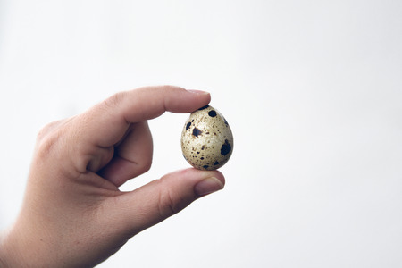 Woman with a small quail egg against a white background. Empty copy space for Publisher's text.の写真素材