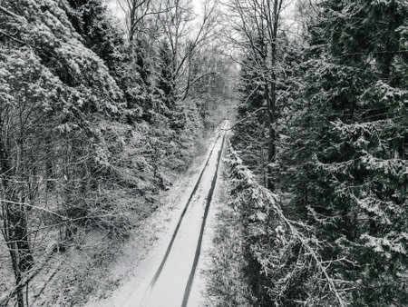 Beautiful dense winter forest. Snow on the trees. Road track in the snow.の写真素材