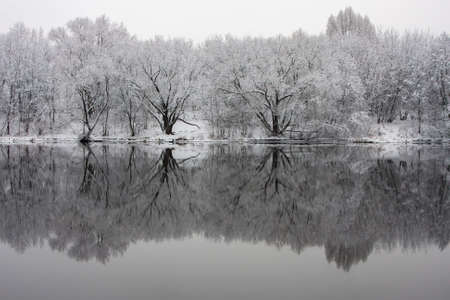unfrozen river surrounded by snowy trees