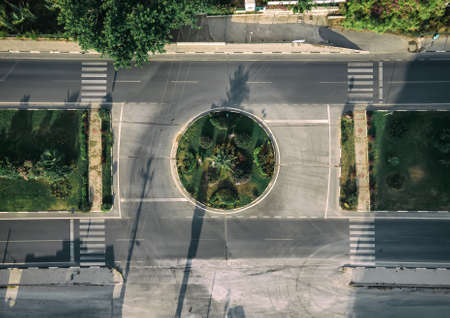 A flower bed with green plants in the middle of the road