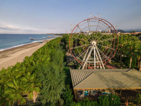 Ferris wheel near green palm treesの写真素材