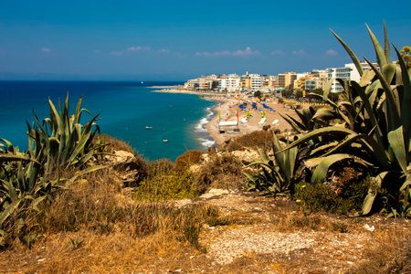 View from the hill with plants to the beach, sea and cityの写真素材
