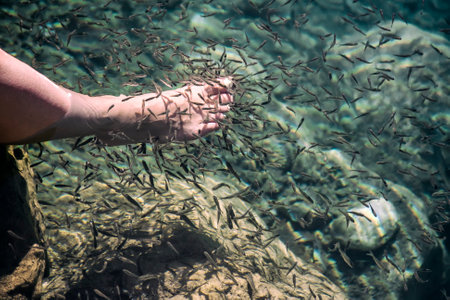 natural fish spa in a mountain lake