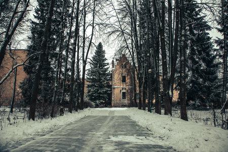 Snow-covered road to the old abandoned hall. Christmas trees along the road. Snowy winter day. Beautiful gothic architecture.の写真素材