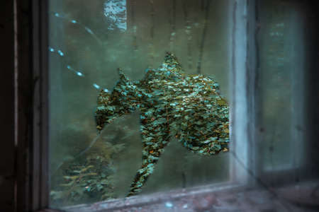 Broken window in an old abandoned house. Shards of broken glass. Green trees outside the window.の写真素材