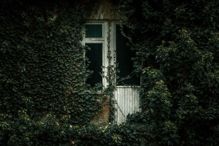 Balcony with a door shrouded in leaves. An old abandoned building covered with green leaves. Shabby...