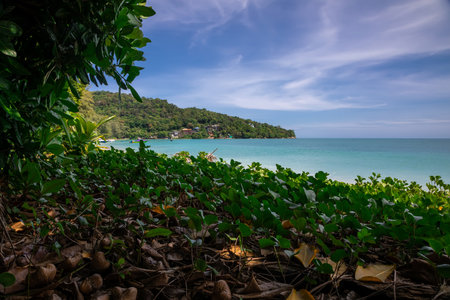 Beautiful tropical beach and sea with blue sky background, Thailand.の写真素材