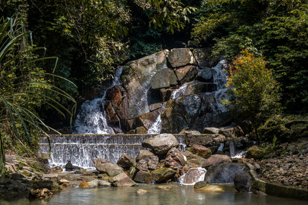 Beautiful waterfall in the jungle. Green plants. Stones and water. Sunlight through the trees.の写真素材