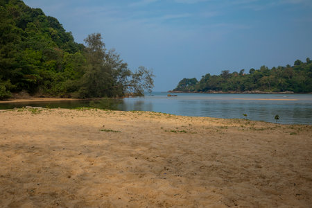 Tropical beach with sand and green trees in the background.の写真素材
